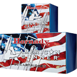 Hornady 300 Blackout 125gr HP AG 50pk