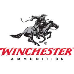 Winchester Super X 308Win 130gr HP Speer